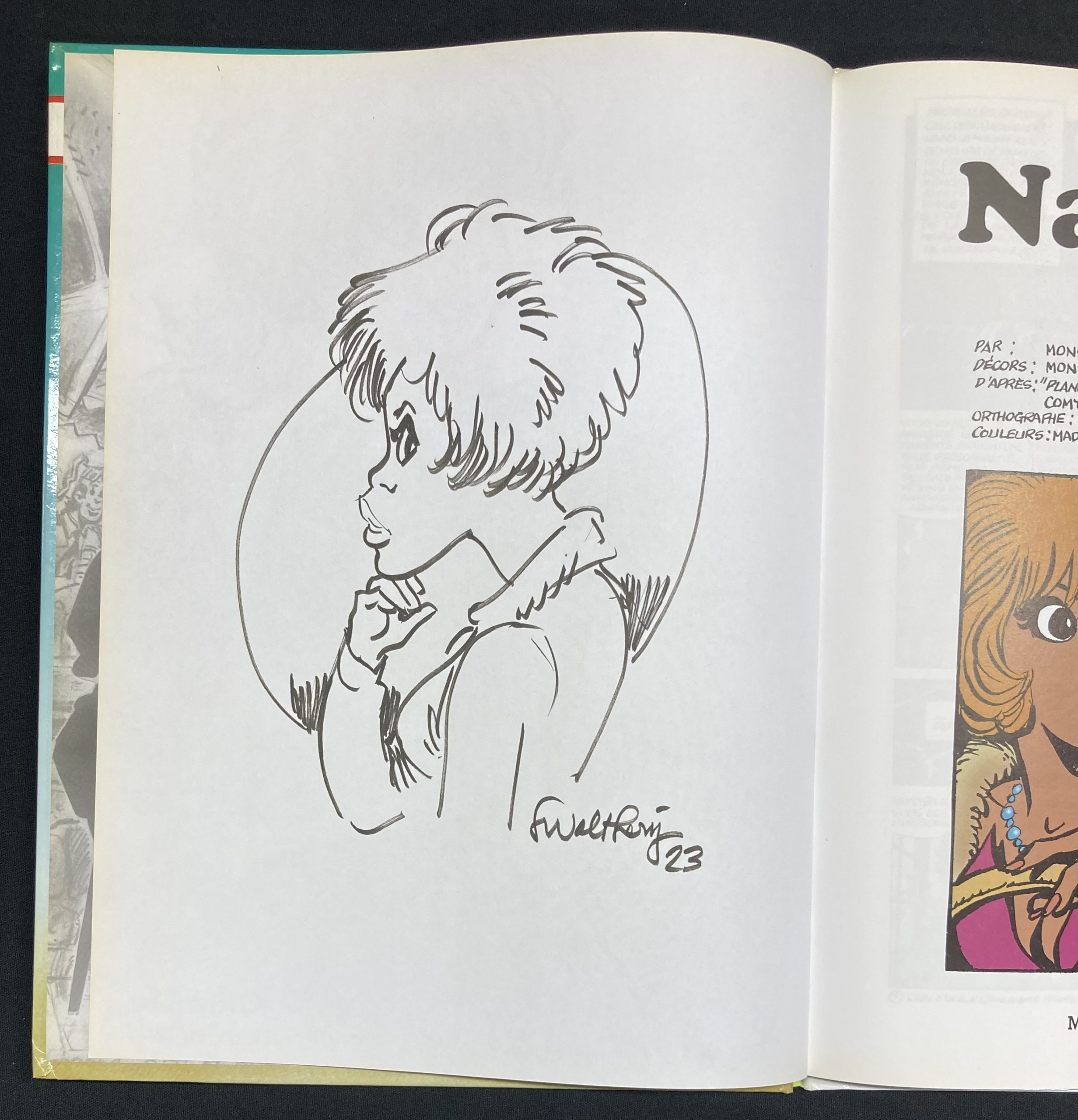 Walthéry & Di Sano – Natacha N° 20 Atoll 66 - Amazonie BD