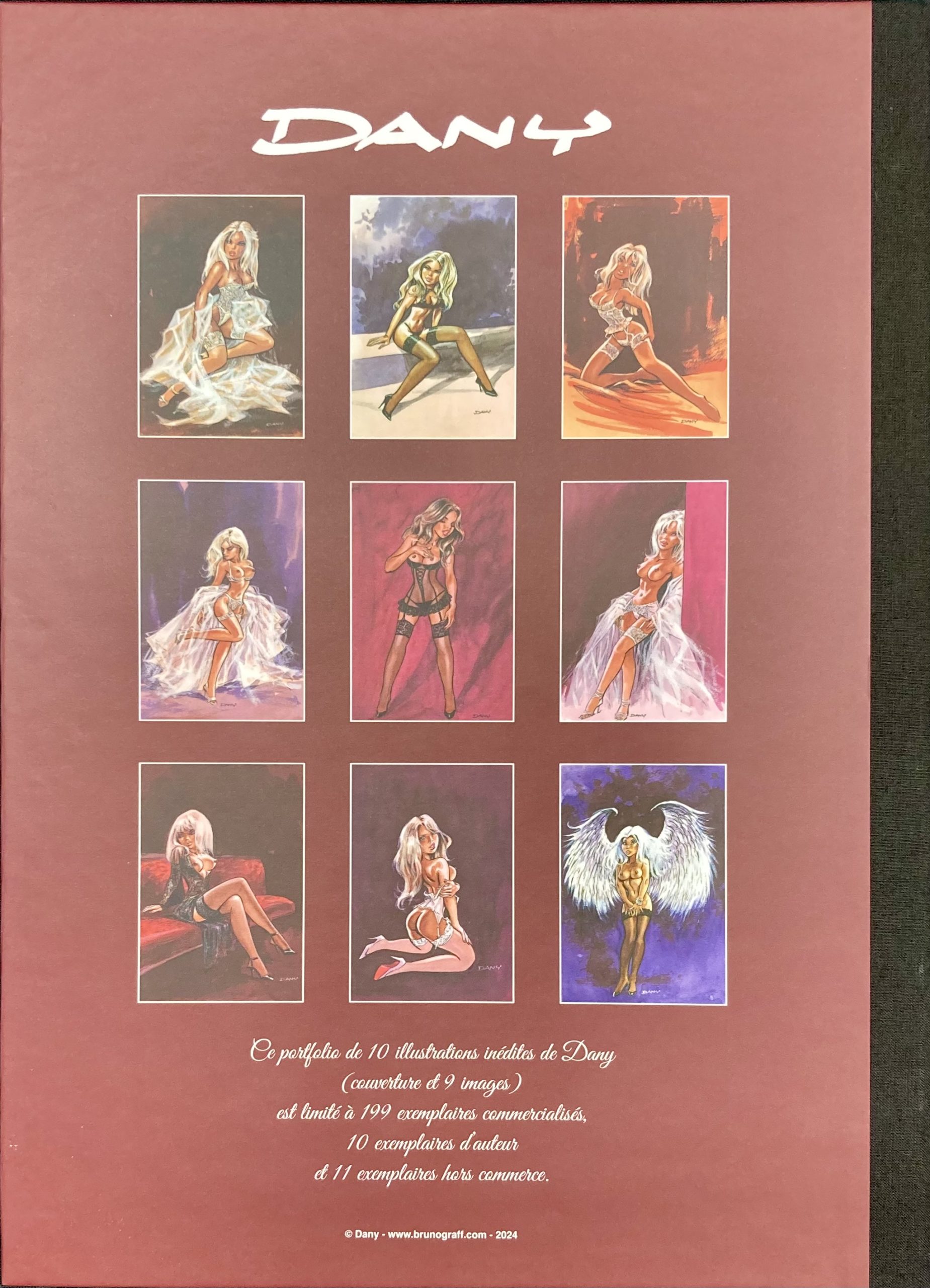 Dany – Dedicace : Portfolio Dentelles & Jarretelles - Capitaine BD