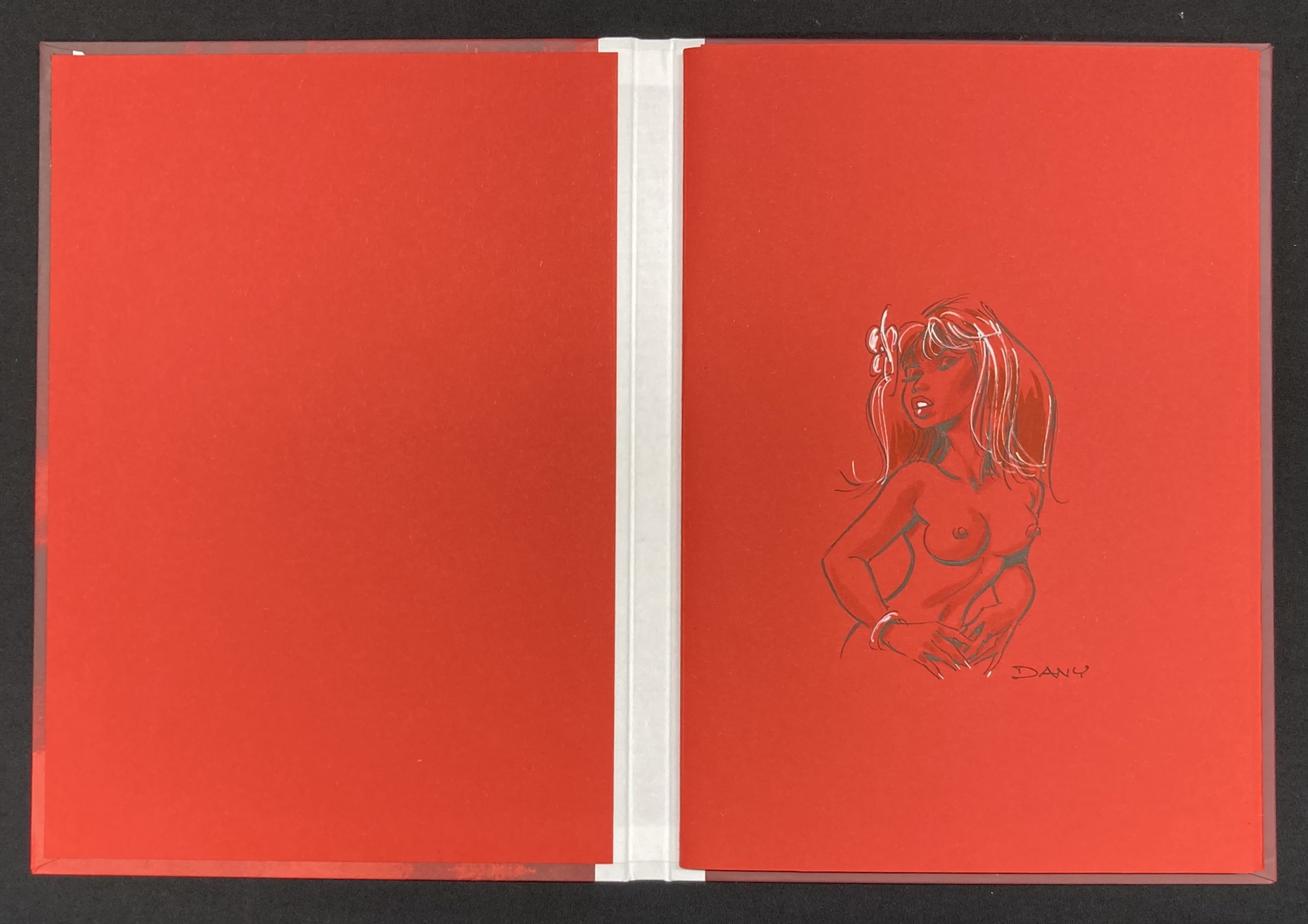 Dany – Dedicace : Portfolio Dentelles & Jarretelles - Capitaine BD